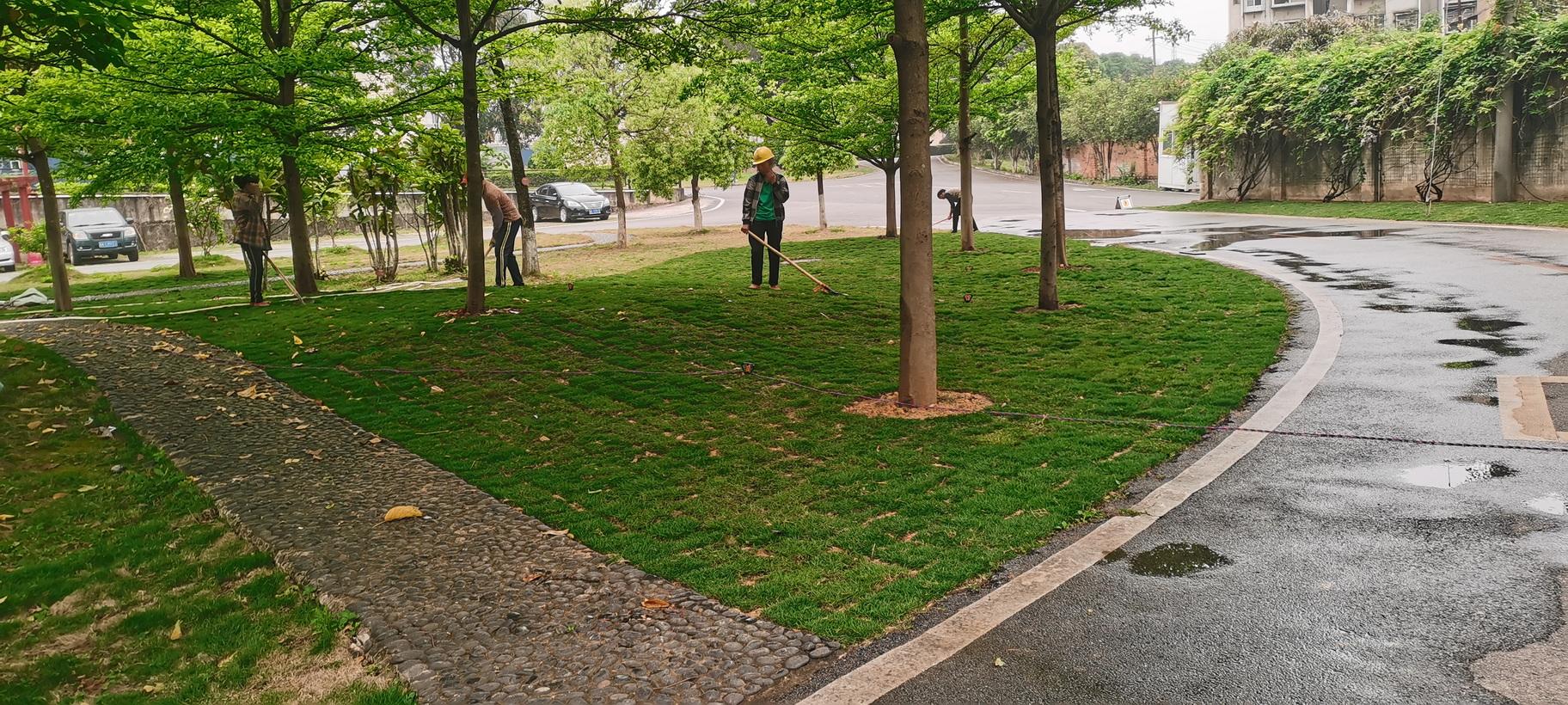 南宁机务段职教办公楼旁绿化