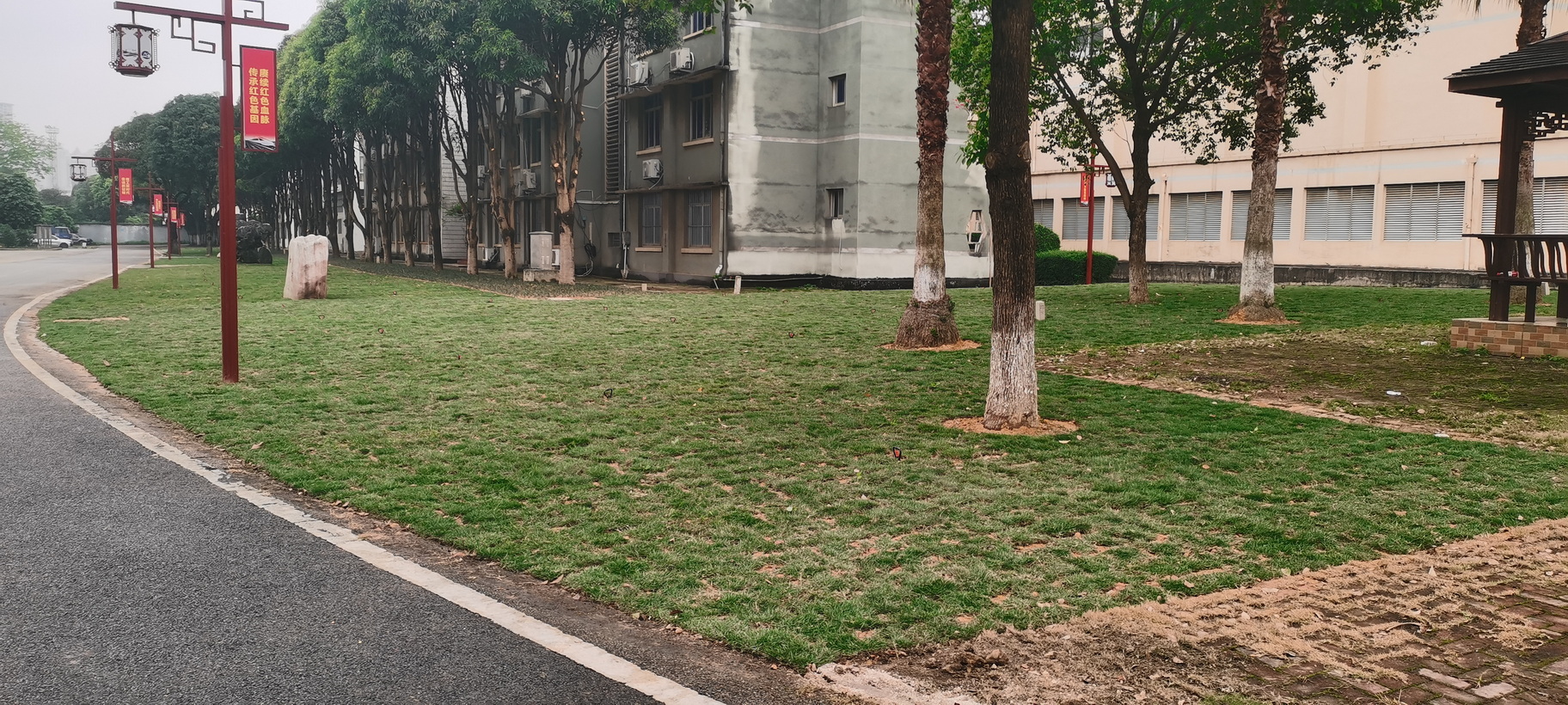 南宁机务段职教办公楼旁绿化