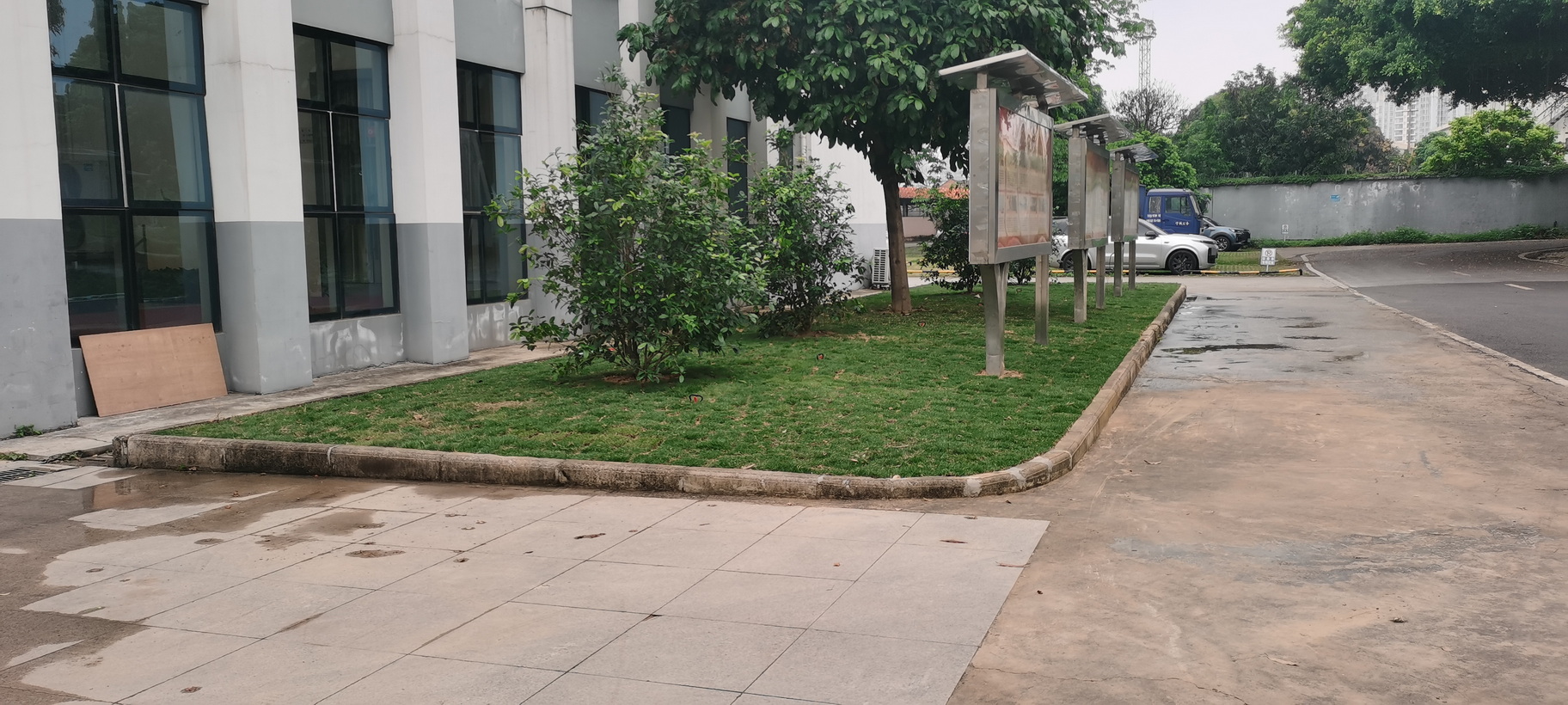 南宁机务段职教办公楼旁绿化