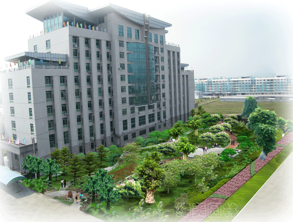 兴业县政府办公楼后景观绿化方案